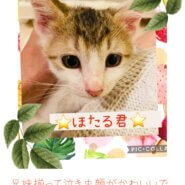 泣き虫顔が可愛すぎるほたる君♡