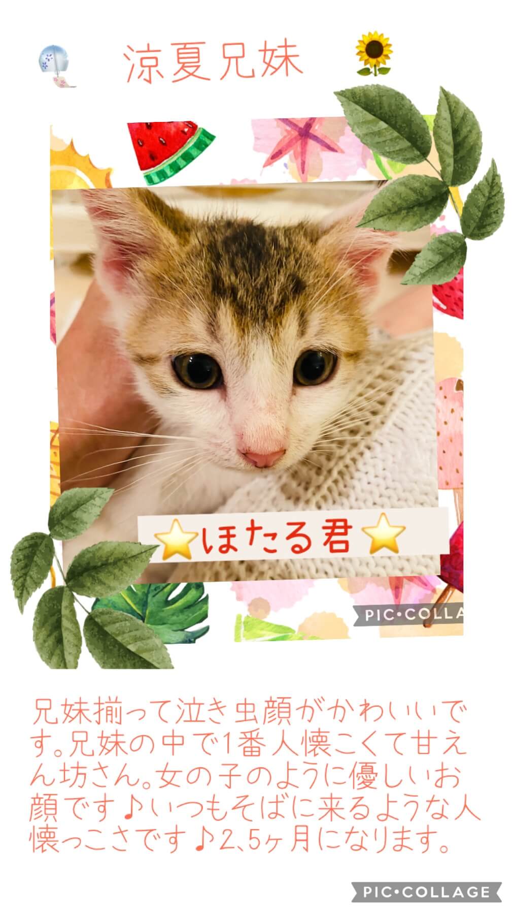 泣き虫顔が可愛すぎるほたる君♡