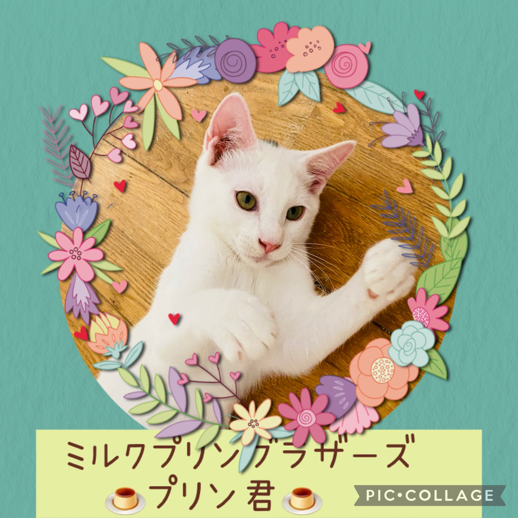 おっとりのんびり癒し系の美少年♡ミルク君