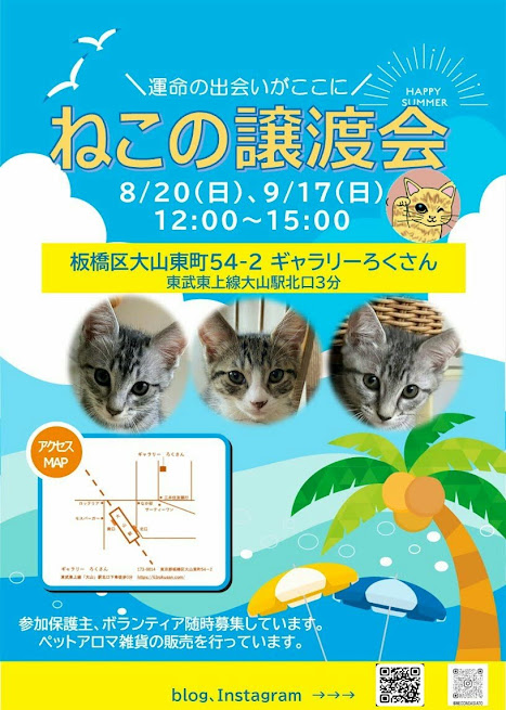 板橋区大山にて開催　ねこの譲渡会