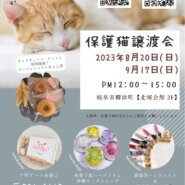 猫の譲渡会