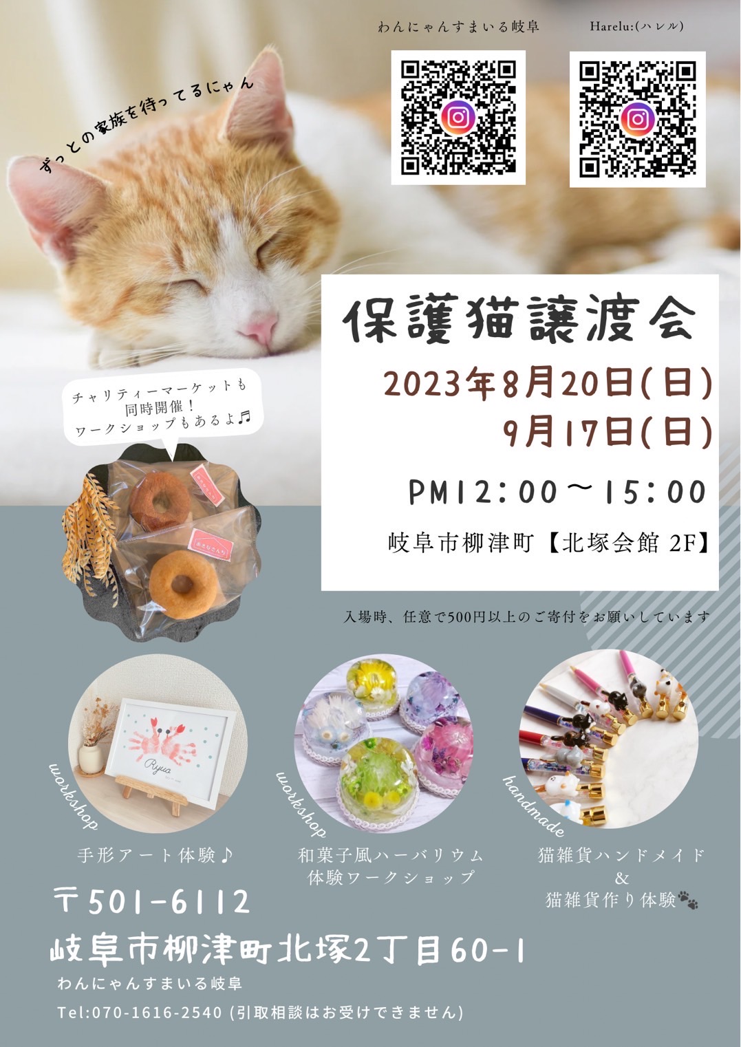 猫の譲渡会