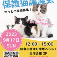 保護猫譲渡会