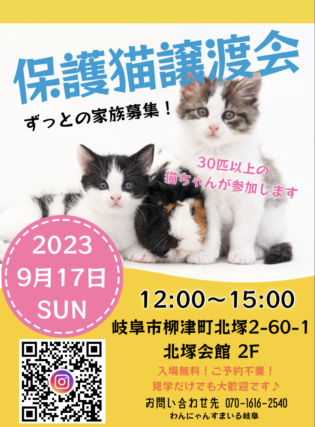 保護猫譲渡会