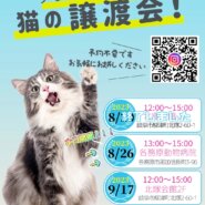 in各務原。猫の譲渡会