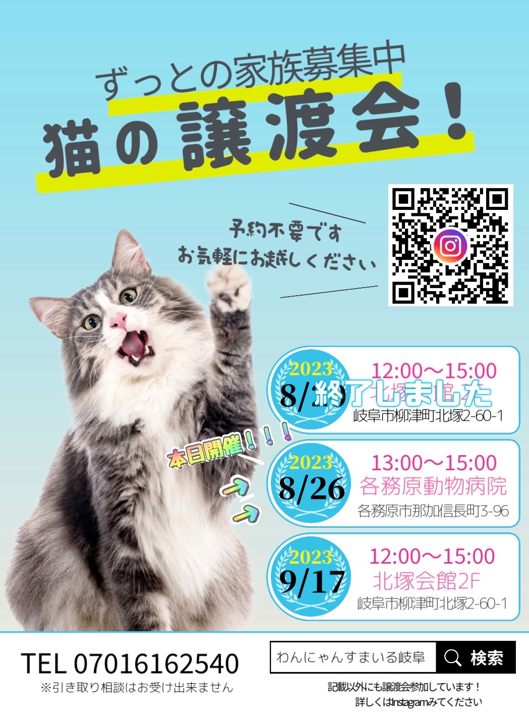 in各務原。猫の譲渡会