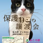 保護ねこの譲渡会