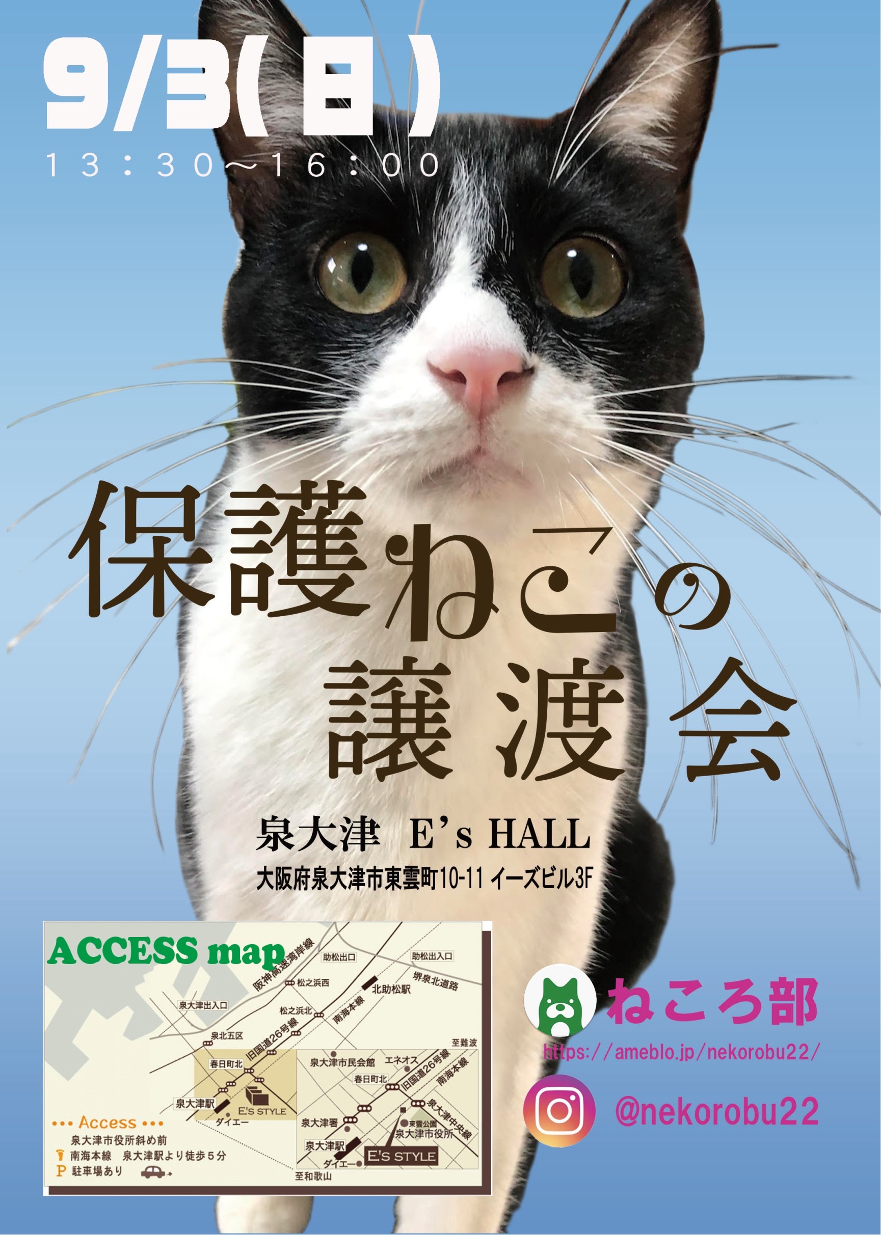 保護ねこの譲渡会