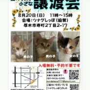 ツムグ小さな譲渡会