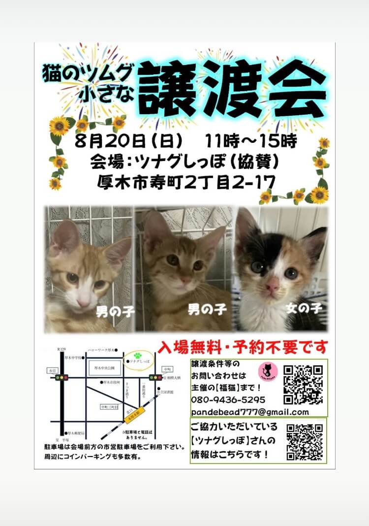 ツムグ小さな譲渡会