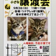 ツムグ小さな譲渡会