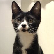 生後3か月の男の子　くつした1号（仮）