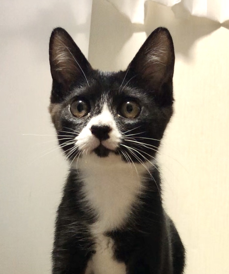 生後3か月の男の子　くつした1号（仮）