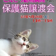 【流山市】8/26（土）こんどう動物病院保護猫譲渡会