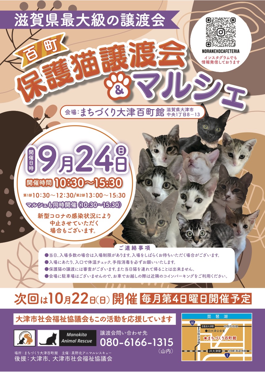 百町保護猫譲渡会&マルシェ