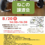 むさしの地域猫の会　譲渡会