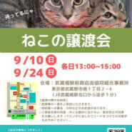 むさしの地域猫の会　譲渡会