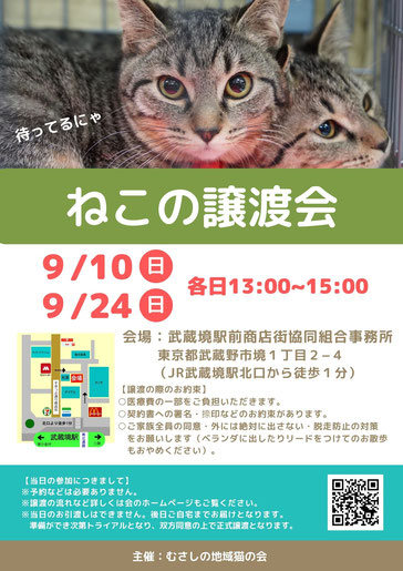 むさしの地域猫の会　譲渡会