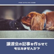 募集は終了しました