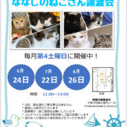 8月の四条畷　ななしのねこさん譲渡会