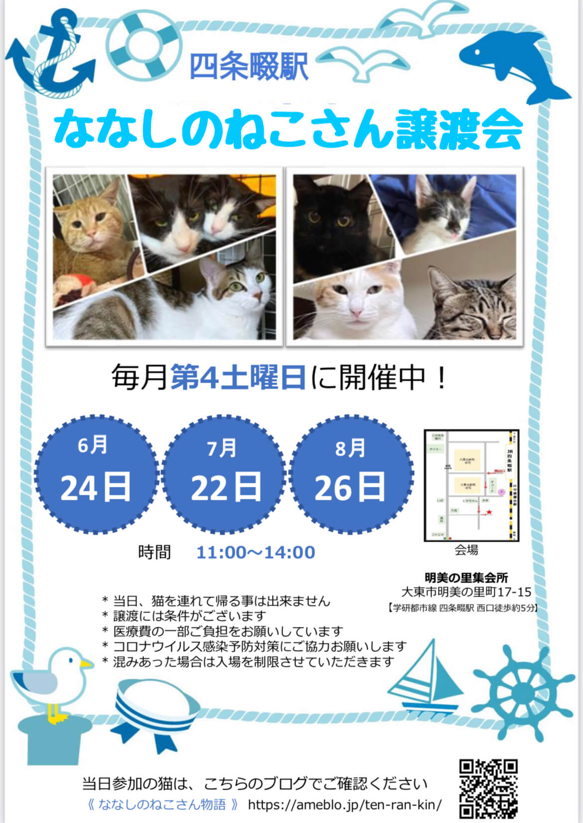 8月の四条畷　ななしのねこさん譲渡会
