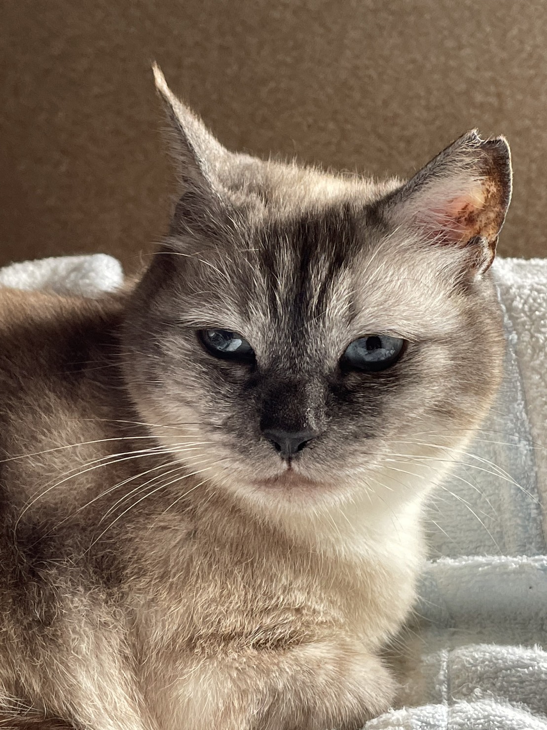 グレーの女の子②