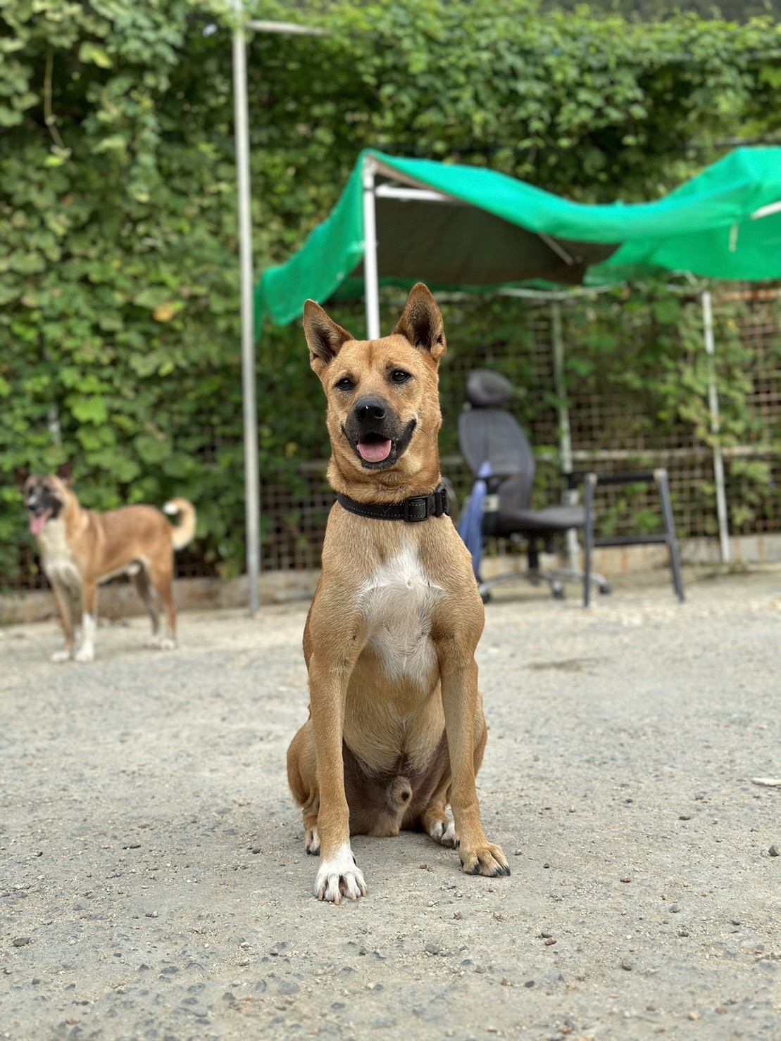 家族に迎えて下さい