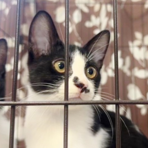 ◆11/23参加◆人が大好き元気いっぱい！❤もんじ