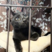 ◆11/23参加◆人が大好き元気いっぱい！❤じんじん