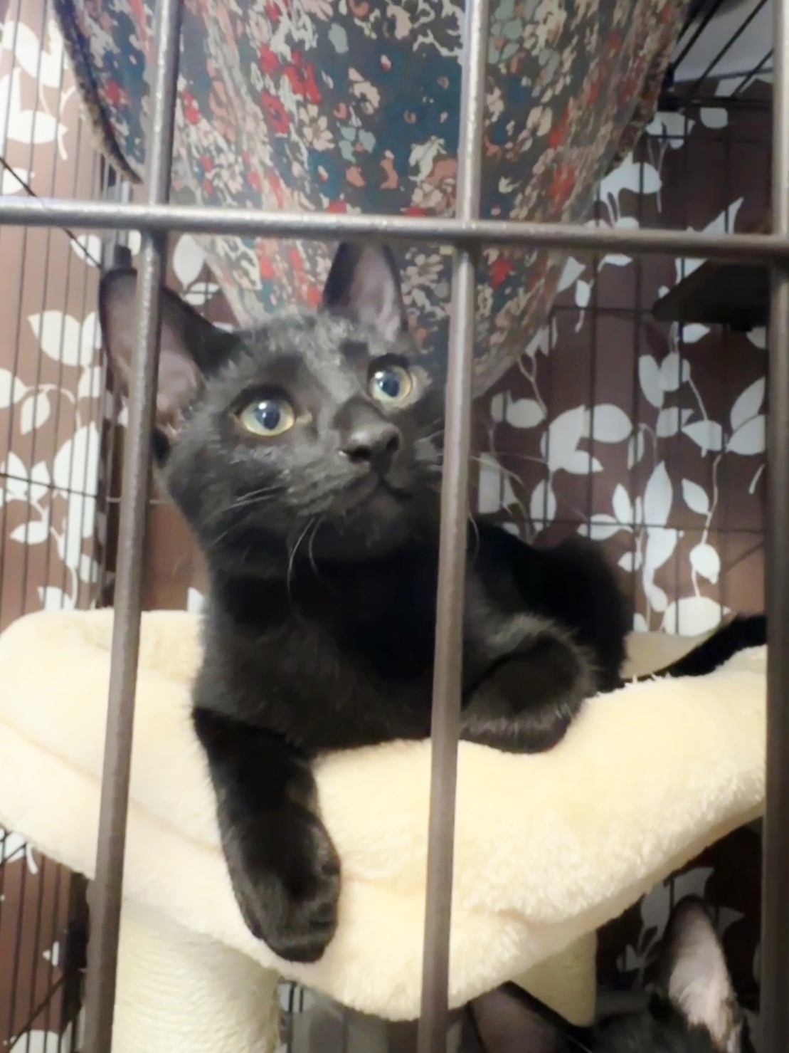 ◆11/23参加◆人が大好き元気いっぱい！❤じんじん