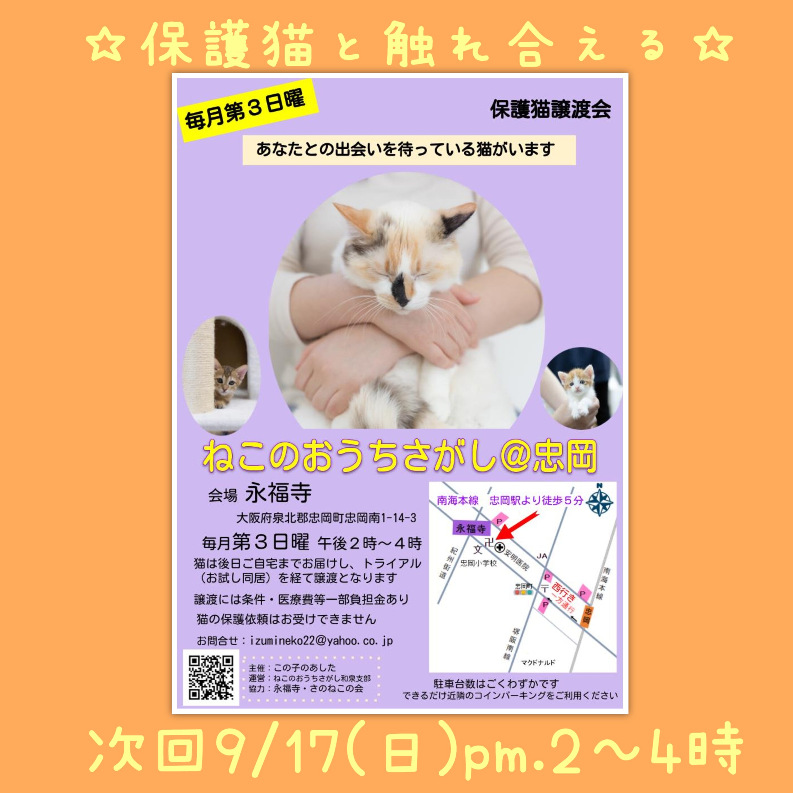 9/17(日)ねこのおうちさがし＠忠岡