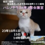 ♡ハレノテラス保護猫譲渡会♡さいたま市