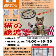 第1２回平野ろまねこ譲渡会
