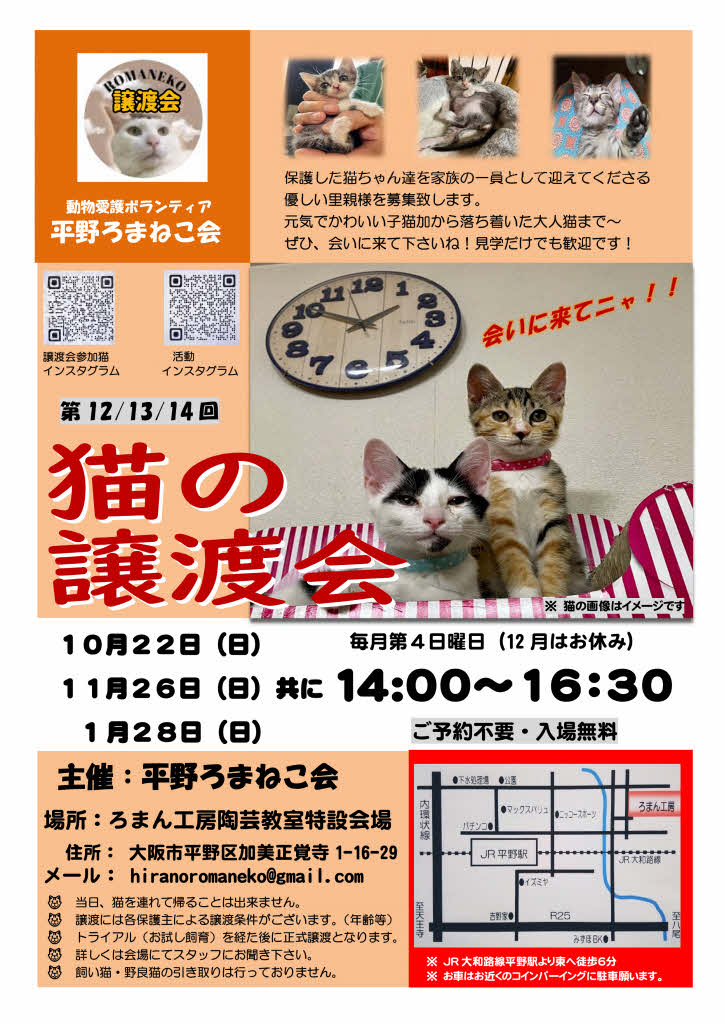 第1２回平野ろまねこ譲渡会