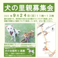 保護犬の里親募集会