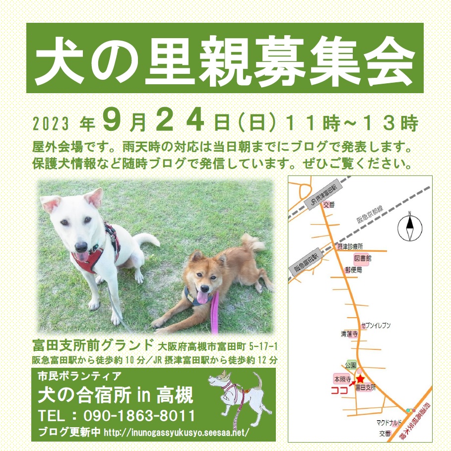 保護犬の里親募集会