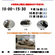 保護猫譲渡会