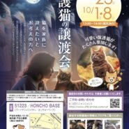 保護猫の譲渡会