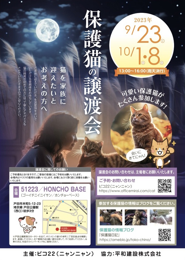 保護猫の譲渡会