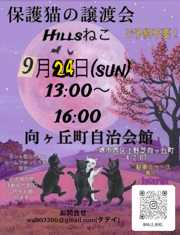 保護猫の譲渡会