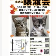 ツムグ小さな譲渡会