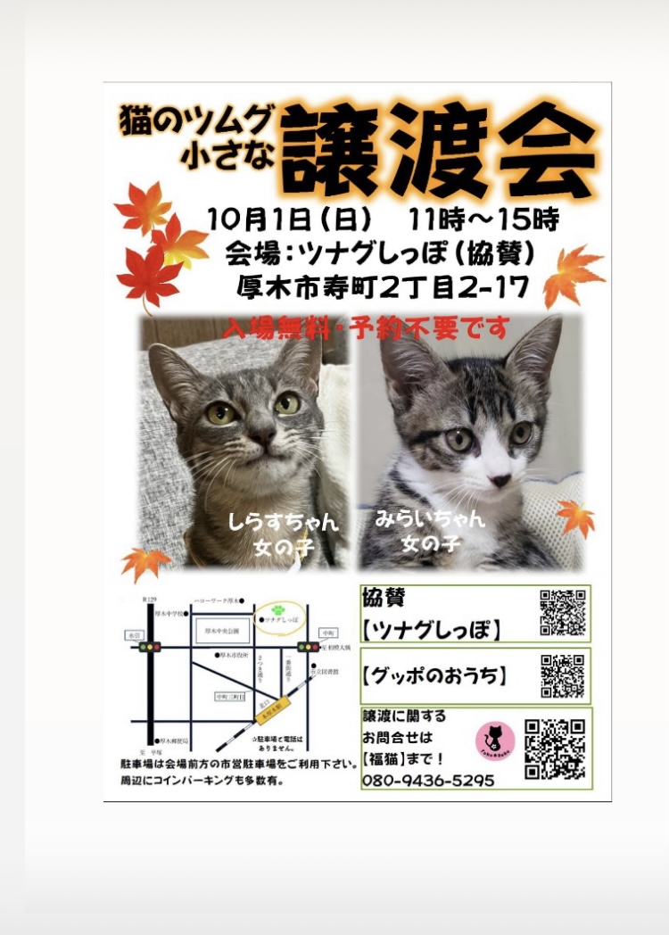 ツムグ小さな譲渡会