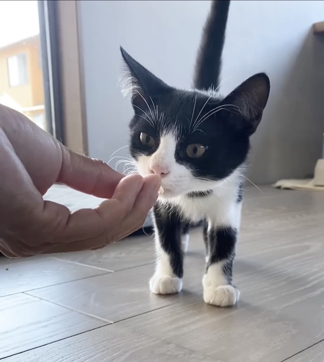 性格抜群♡とても穏やかな優しい男の子