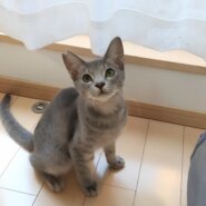 素敵カラーのヒカルくん