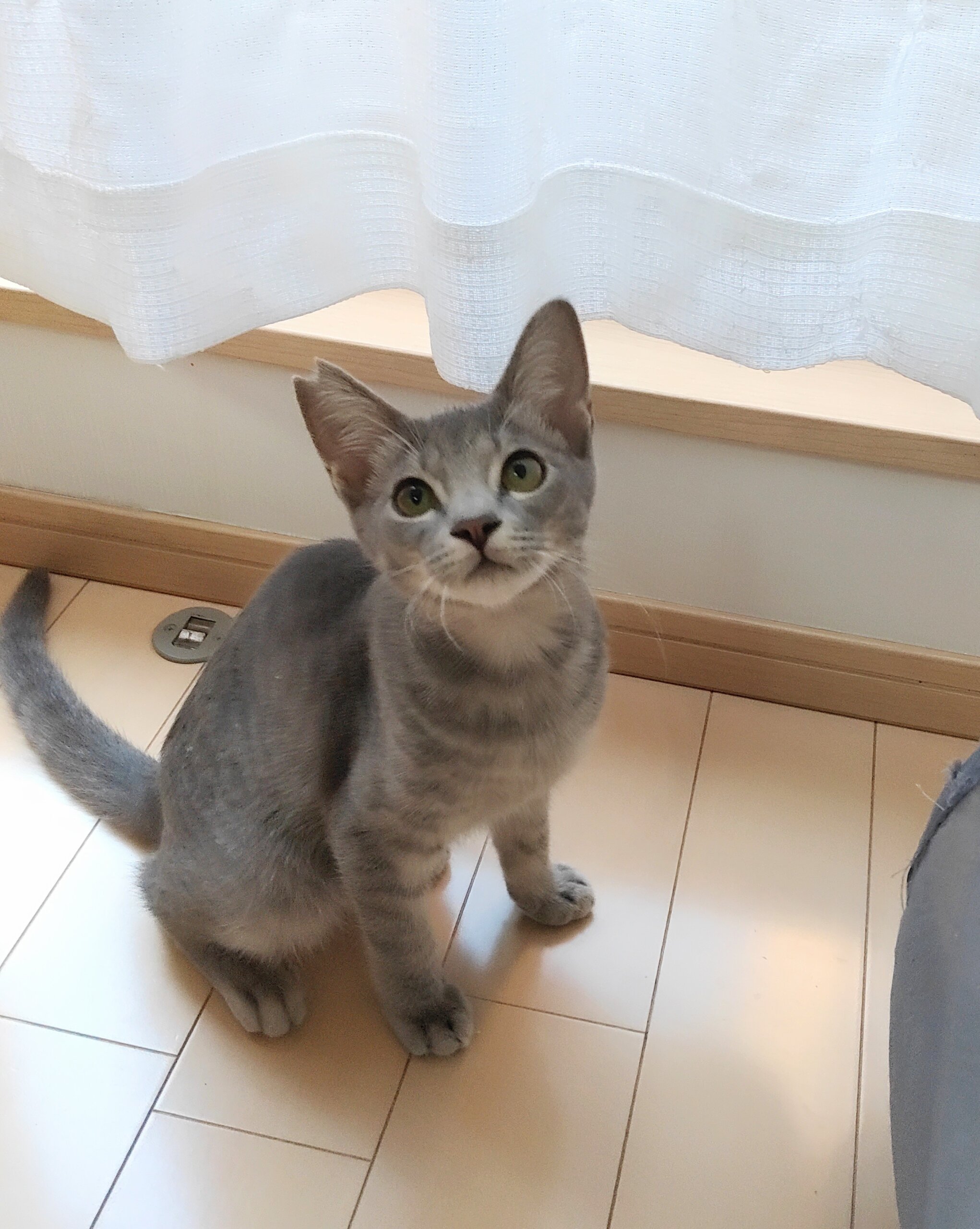 素敵カラーのヒカルくん