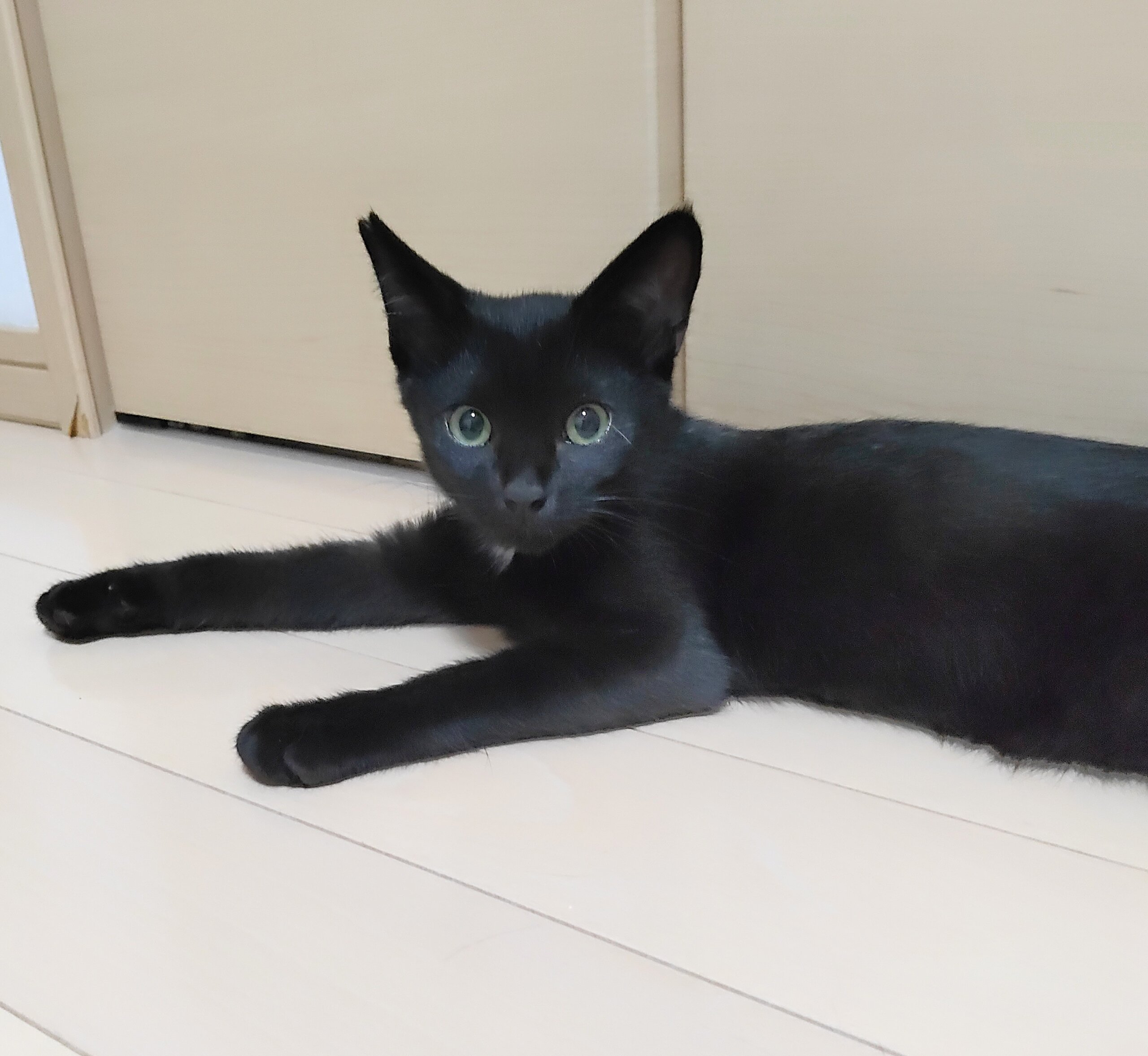 天真爛漫☆あまあまホタルくん