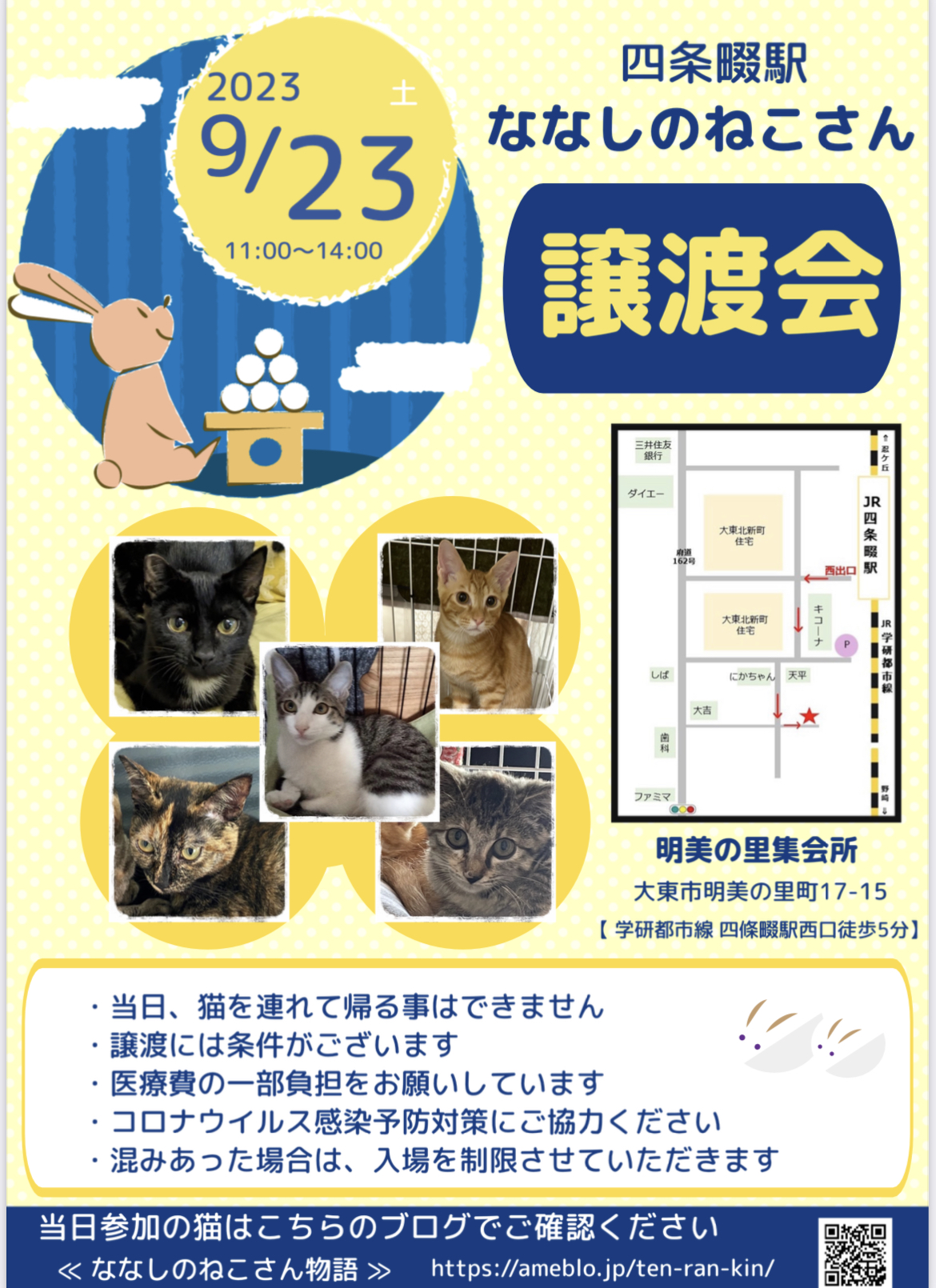 ななしのねこさん譲渡会