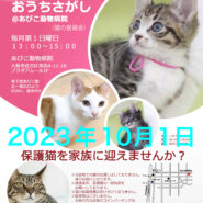 第48回☆ねこのおうちさがし@あびこ動物病院