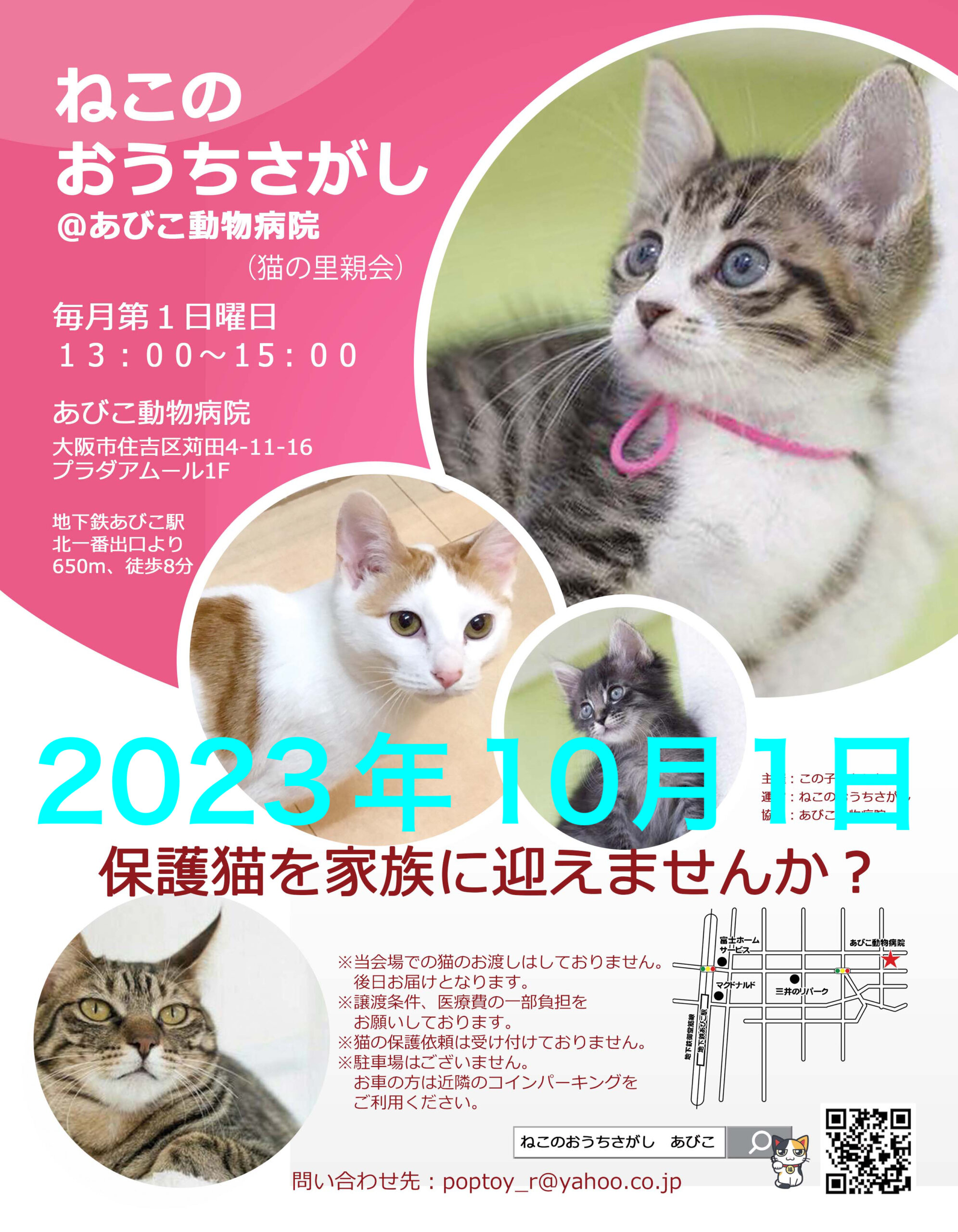 第48回☆ねこのおうちさがし@あびこ動物病院