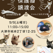 保護猫譲渡会